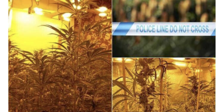 EMRI/ “Duhej të shlyeja 5,000 £ borxhe”, 29-vjeçari shqiptar kapet i fshehur në papafingon e shtëpisë së barit dhe dënohet me 20 muaj burg