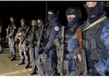 VIDEO/ Momenti kur qëllohet me armë ndaj policisë së Kosovës në Bërnjak