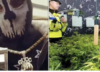 Investigimi/ Prestigjiozja britanike: Si e mori mafia shqiptare kontrollin e kokainës