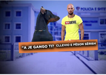 “A je gango ti?”/ Pas sherrit me Noizy-n, e pëson sërish Cllevio, policia i shkon në derë pasi dhunoi qenin