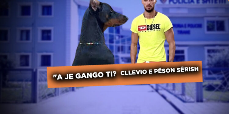 “A je gango ti?”/ Pas sherrit me Noizy-n, e pëson sërish Cllevio, policia i shkon në derë pasi dhunoi qenin