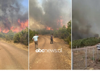 VIDEO/ Zjarr i madh në Mirditë, rrezikohen banesat dhe vreshtat