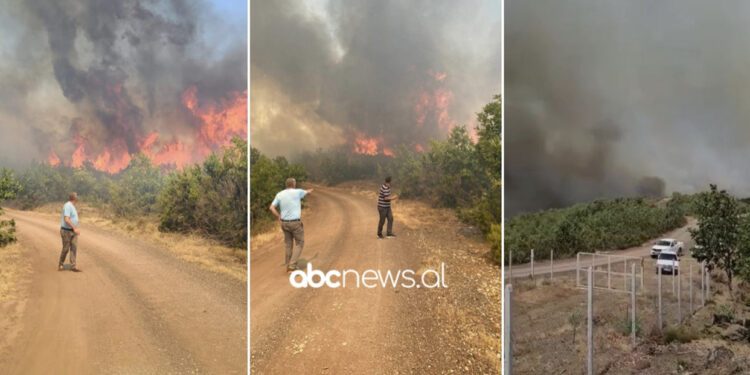 VIDEO/ Zjarr i madh në Mirditë, rrezikohen banesat dhe vreshtat