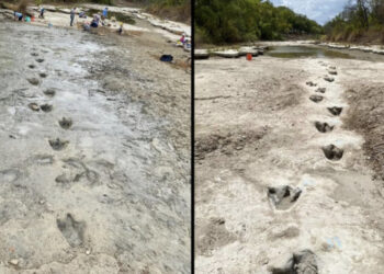 FOTO: Tharja e lumit zbulon gjurmë dinozaurësh