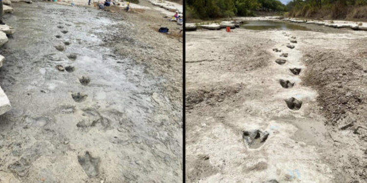 FOTO: Tharja e lumit zbulon gjurmë dinozaurësh