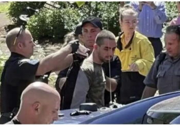 Momenti i arrestimit të tij, ky është 24 vjeçari që goditi me thikë shkrimtarin e njohur