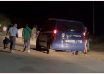 “U grindën për qenin”, si nisi sherri me thika në Maliq që përfundoi me një të vrarë dhe një të plagosur