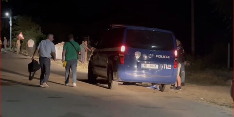 “U grindën për qenin”, si nisi sherri me thika në Maliq që përfundoi me një të vrarë dhe një të plagosur