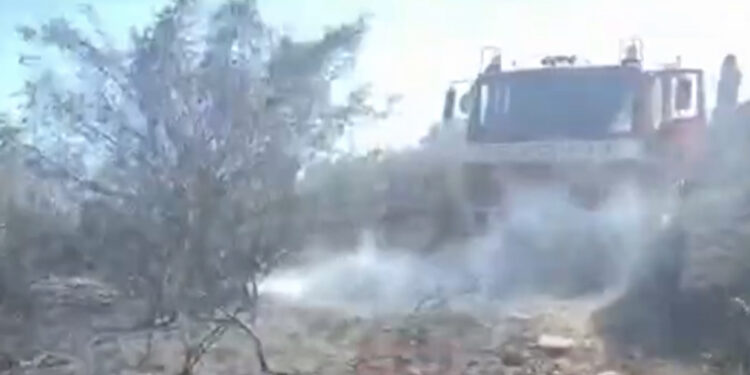 Fushë Krujë, 30-vjeçari gjendet pa ndjenja në mes të vreshtave në flakë (EMRI+DETAJET)