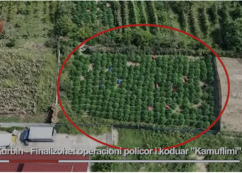 VIDEO/ “Bar” mes misrit, policia kap mat në parcelë 20-vjeçarin