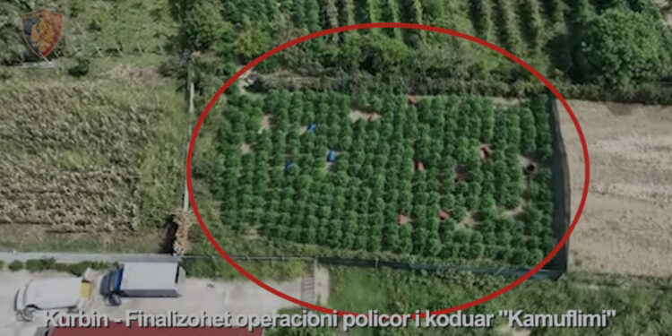 VIDEO/ “Bar” mes misrit, policia kap mat në parcelë 20-vjeçarin