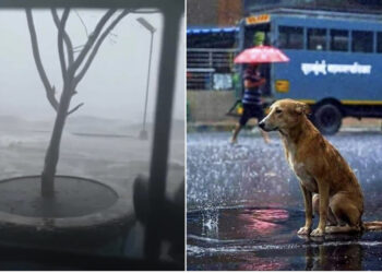 Super tajfuni Noru godet Filipinet, era deri në 240 km/h