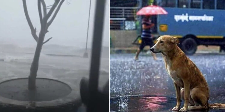 Super tajfuni Noru godet Filipinet, era deri në 240 km/h
