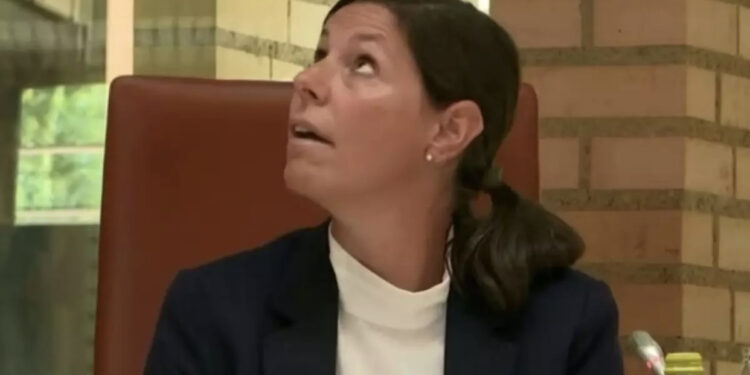 VIDEO/ Tërmeti tund parlamentin e Lihtenshtajnit gjatë debatit për sigurimin nga tërmetet