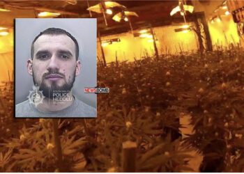 Shqiptari kapet me “shtëpi bari” me vlerës 150 mijë paund, në gjykatë thotë se e detyruan të punonte për të shlyer lekët e rrugës