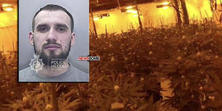 Shqiptari kapet me “shtëpi bari” me vlerës 150 mijë paund, në gjykatë thotë se e detyruan të punonte për të shlyer lekët e rrugës