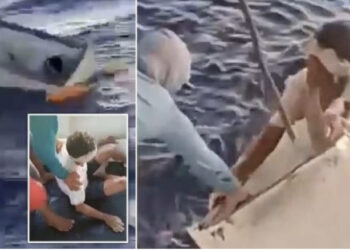 VIDEO/ Mrekulli!  11 ditë pas mbytjes së varkës, peshkatari gjendet gjallë në … frigorifer