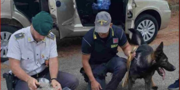 DETAJET/ Si u kap tregtari shqiptar i makinave me 42 kg “pluhur”, dyshimet e forta për një mega ngarkesë