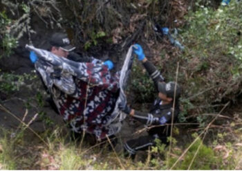 FOTO/ I dyshuari kryesor burri i saj/ Prej 10 ditësh e zhdukur, gjendet e vdekur avokatja e njohur në Ekuador