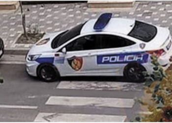 Parkoi mjetin në vijat e bardha, gjobitet efektivi i Policisë në Lezhë