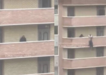 Video që të lë pa frymë: Ai u përpoq të hidhej nga ballkoni 36 metra i lartë, por kapet nga fqinj