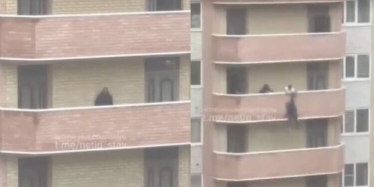 Video që të lë pa frymë: Ai u përpoq të hidhej nga ballkoni 36 metra i lartë, por kapet nga fqinj