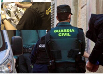 ‘Shkaktuan 300 mijë euro dëm në energji’/ Arrestohen 13 shqiptarë me 6 plantacione kanabisi në 4 provinca katalanase