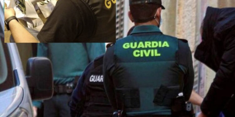 ‘Shkaktuan 300 mijë euro dëm në energji’/ Arrestohen 13 shqiptarë me 6 plantacione kanabisi në 4 provinca katalanase