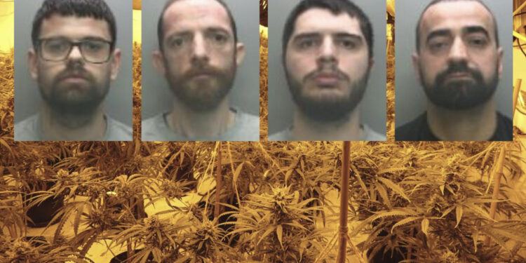 “Po zienin makarona”, 4 shqiptarët kapen me “shtëpi bari” 1.6 milion paund, çdo ditë vidhnin 11 mijë paund energji