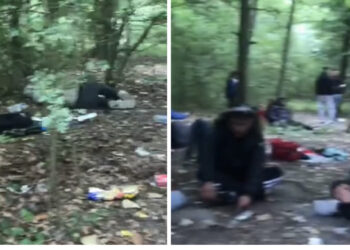 VIDEO/ Të shtrirë në pyllin e Francës të lodhur e rraskapitur, të rinjtë shqiptarë në pritje të gomones për në Angli