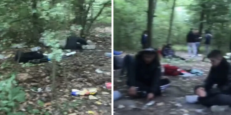 VIDEO/ Të shtrirë në pyllin e Francës të lodhur e rraskapitur, të rinjtë shqiptarë në pritje të gomones për në Angli