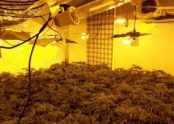 Çfarë ndodh në të vërtetë me ata që futen në “shtëpi bari” në Angli?!