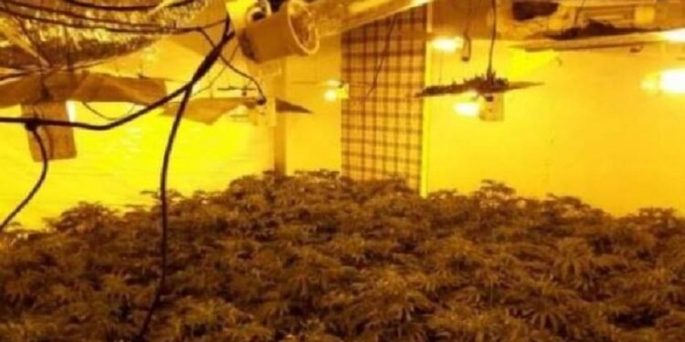 Çfarë ndodh në të vërtetë me ata që futen në “shtëpi bari” në Angli?!