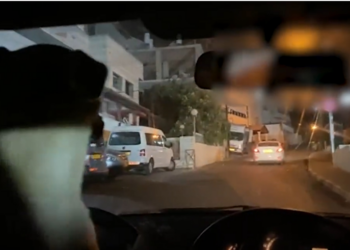 VIDEO/ La qenin të “ngiste” makinën e tij, 35 vjeçari e pëson keq