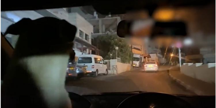 VIDEO/ La qenin të “ngiste” makinën e tij, 35 vjeçari e pëson keq