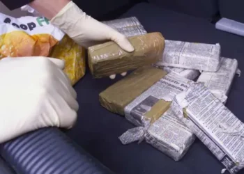 Sekuestrohen 13 kg kokainë e kanabis në Zvicër, në pranga 2 shqiptarë dhe 1 serb