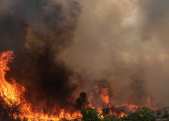 Zjarr masiv në kodrinat e Durrësit, tymi mbulon zonën