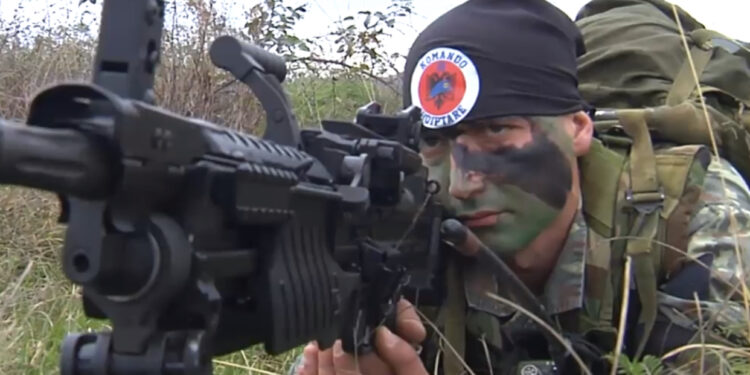 Ishte komando?-I kapuri në Turqi për drogë mori medalje nga presidenti për shërbimin në ushtri