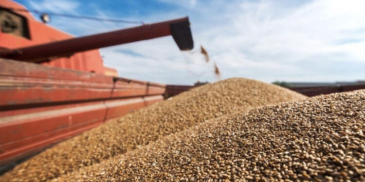 Pezullimi i marrëveshjes së grurit, Zelensky: Rusia po punon qëllimisht për të përhapur urinë