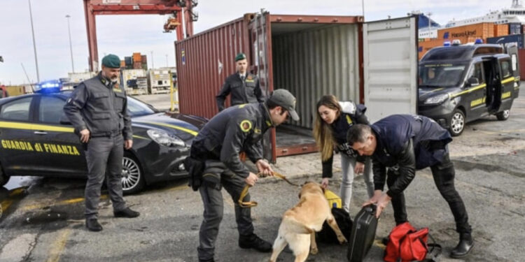 VIDEO/ E fshehur mes kontejnerëve me banane, kapet 200 kg kokainë në portin e Livornos, vlera në treg 60 mln euro