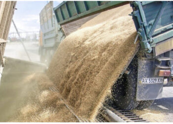 Rusia pezulloi marrëveshjen, BE i bën thirrje: Lejoni grurin që të arrijë në botë!