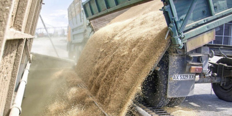 Rusia pezulloi marrëveshjen, BE i bën thirrje: Lejoni grurin që të arrijë në botë!