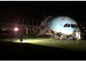 VIDEO/ Aeroporti në kaos, pezullohen fluturimet, avioni korean përplaset me tokën gjatë uljes