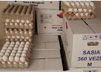 AKU bllokon mish dhe 7 mijë kokrra vezë në Korçë, vendos 39 milionë lekë gjoba