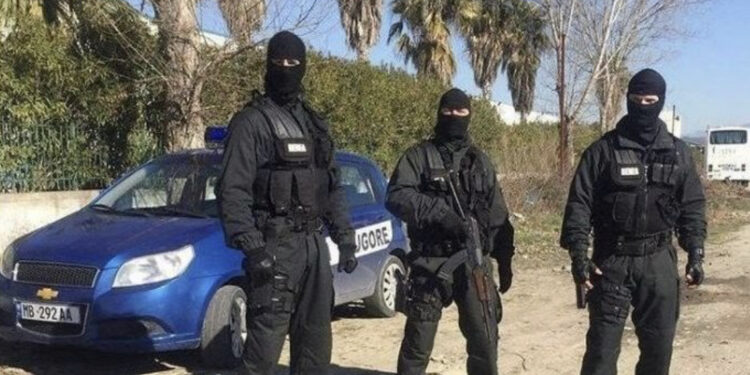 Operacion “Përtej Kufijve”, bashkëpunim mes policisë shqiptare dhe turke, arrestohet një person, në kërkim dy shqiptarë