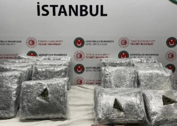 Me valixhe me drogë nga Rinasi në Stamboll, arrestohen 2 shqiptarë në aeroportin turk, sekuestrohen 31 kg kanabis