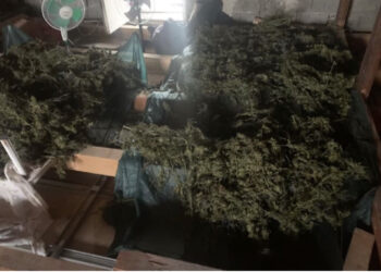 “Shtëpia e barit” në Shkodër, jepen masat e sigurisë për 16 nga 26 të arrestuarit