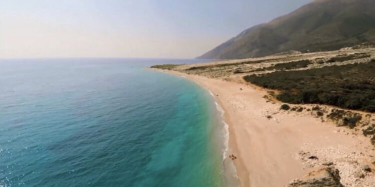 EMRAT/ Tjetërsuan pronat përmes dokumenteve false, nis hetimi për dy biznesmenët nga Delvina