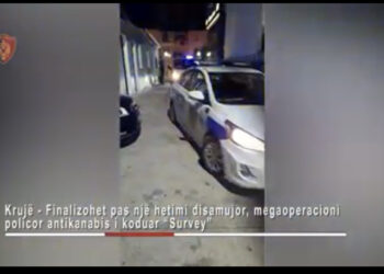 Operacion antidrogë në Krujë: 5 të arrestuar, miliona lekë dhe qindra bimë kanabisi të sekuestruara