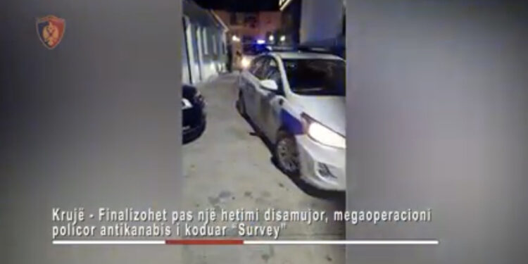 Operacion antidrogë në Krujë: 5 të arrestuar, miliona lekë dhe qindra bimë kanabisi të sekuestruara
